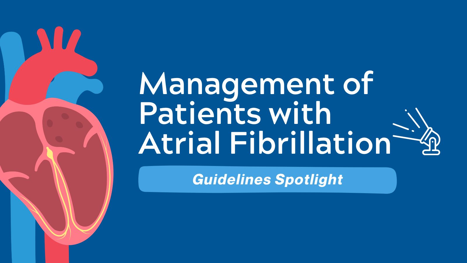 Guidelines Spotlight Management of Patients with Atrial Fibrillation