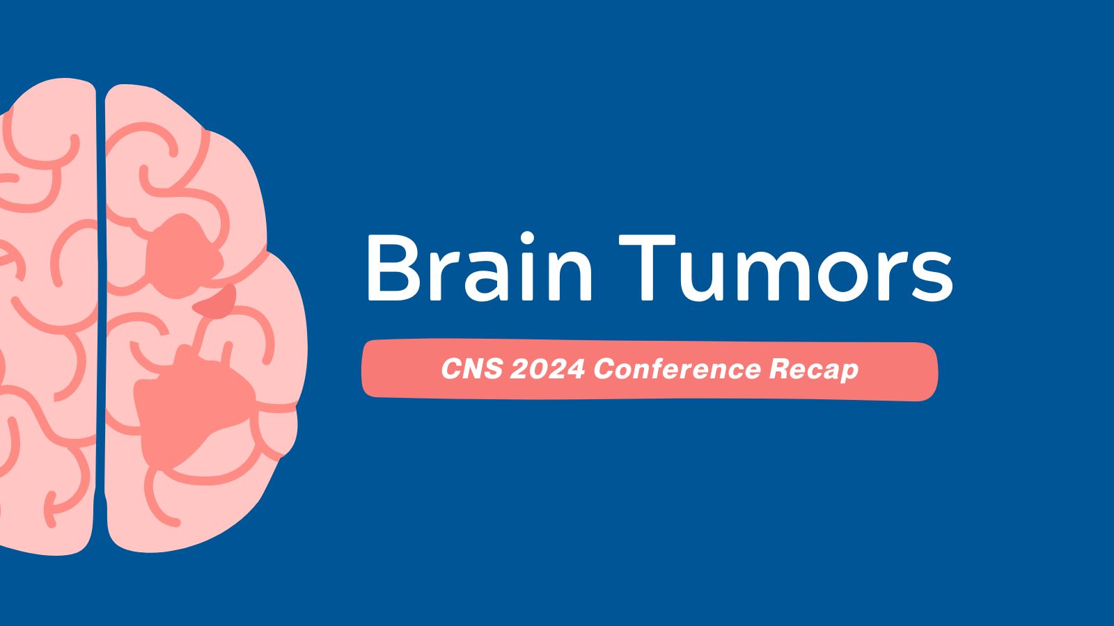 Conference Recap (CNS 2024)