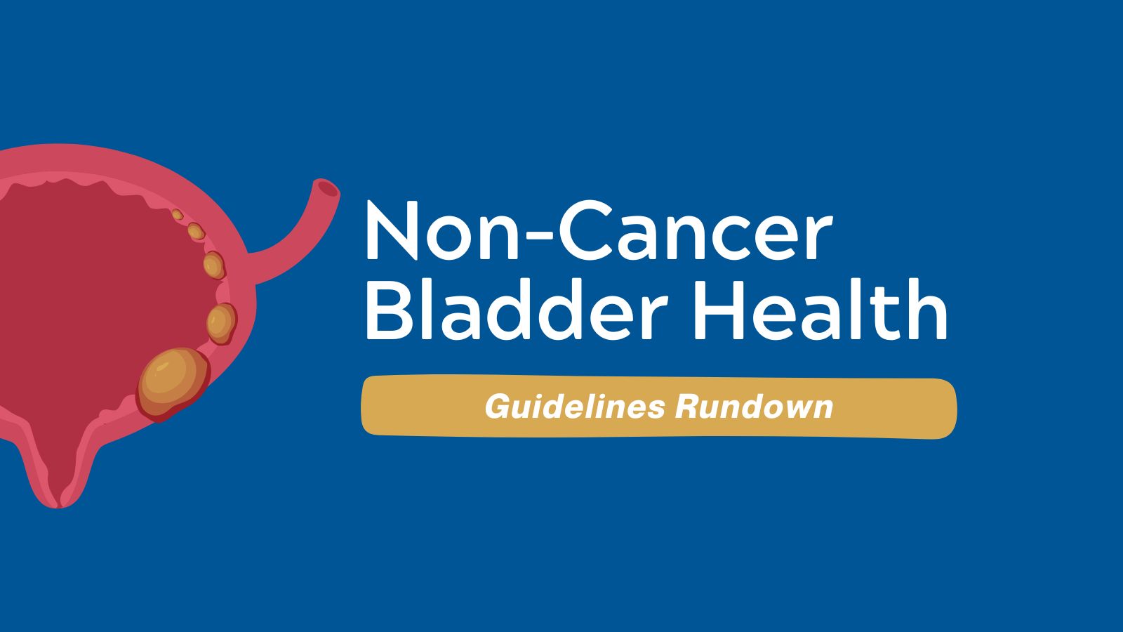 Guidelines Rundown - Non-Cancer Bladder Health