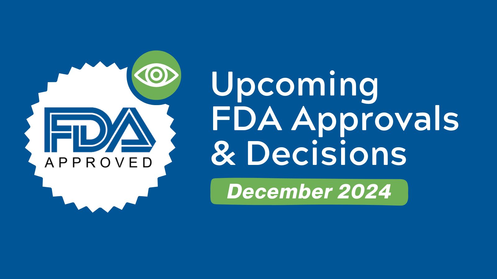 Upcoming FDA Approvals & Decisions - December 2024